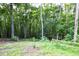 Lush green scenery with mature trees and a split rail fence at 698 Maple Springs Ln, Bear Creek, NC 27207