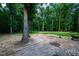 Cleared area of backyard features mature trees and some landscaping at 698 Maple Springs Ln, Bear Creek, NC 27207
