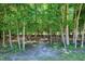Woods view showcasing tree foliage and a dirt path at 129 Middlegreen Pl, Holly Springs, NC 27540