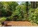 Lush backyard features mature trees, and mulched groundcover, providing a shaded and natural retreat at 1409 Valley, Durham, NC 27707