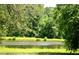 Picturesque view of a tranquil pond surrounded by lush green vegetation and mature trees in a serene setting at 1815 Chandellay Dr, Durham, NC 27705