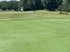 Lush green golf course with a flag, showcasing the well-maintained grounds at 2053 Thornblade Dr, Raleigh, NC 27604