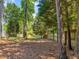 Large, wooded backyard with privacy fence, providing ample space and seclusion at 221 Antique Lace Way, Holly Springs, NC 27540