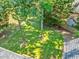This home has a lush green backyard featuring mature trees, offering a serene and private outdoor space at 221 Antique Lace Way, Holly Springs, NC 27540