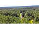 A stunning bird's eye view of the property showing a tranquil pond and abundant woodland at 3564 Lower Moncure Rd, Sanford, NC 27330