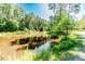 Scenic pond with lush vegetation, framed by towering trees on a beautiful property at 3564 Lower Moncure Rd, Sanford, NC 27330