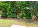 Serene backyard view featuring mature trees and verdant foliage at 575 Tomkins Loop, Cary, NC 27519