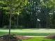 View of golf green with flag on a sunny day surrounded by mature trees and vegetation at this beautiful property at 575 Tomkins Loop, Cary, NC 27519