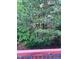A wooded lot fills the yard beyond the red railing at 651 Berry Chase Way, Cary, NC 27519