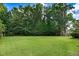 Spacious back yard with lush green lawn surrounded by mature trees at 74 Fountain Dr, Clayton, NC 27520