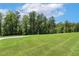 Expansive green backyard with a paved path surrounded by lush trees and vegetation at 149 Ivory Ln, Raleigh, NC 27610