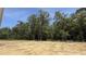 Cleared lot ready for building featuring trees in the background and blue skies at 189 Gobbler Dr, Smithfield, NC 27577