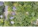 Aerial view of houses surrounded by lush, mature trees, offering privacy at 2410 Huron St, Durham, NC 27707