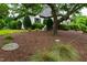 Well-manicured landscaping surrounds a charming, white home with dark shutters, providing a serene curb appeal at 4725 Saratoga Falls Ln, Raleigh, NC 27614
