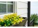 Close-up of a window box filled with vibrant yellow flowers, enhancing the curb appeal at 527 N Cypress St, Wendell, NC 27591