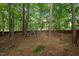 A spacious backyard with trees and play structures, offering a serene and playful outdoor space at 100 Redfoot Run Rd, Chapel Hill, NC 27516
