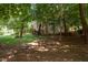 Lush backyard with mature trees and partial view of the house at 100 Redfoot Run Rd, Chapel Hill, NC 27516