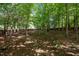 A serene backyard with trees, a hammock, and natural foliage, offering a private and peaceful outdoor retreat at 100 Redfoot Run Rd, Chapel Hill, NC 27516