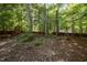A tranquil backyard setting with lush greenery, mature trees, a playset, and a hammock, perfect for relaxation at 100 Redfoot Run Rd, Chapel Hill, NC 27516