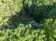An aerial view of a house surrounded by lush, green trees at 10836 Wilmore Dr, Raleigh, NC 27614