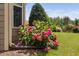 Well-maintained landscaping featuring vibrant hydrangea bushes at 1523 Anthology Dr, Durham, NC 27703
