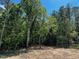 Large lot with mature trees offers privacy and a relaxing backyard setting at 178 Seahawk Way, Zebulon, NC 27597