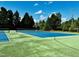 Bright blue and green tennis courts surrounded by lush greenery at 2069 White Pond Ct, Apex, NC 27523