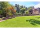 Landscaped backyard featuring green lawn, trees, privacy fence, and beautiful home exterior at 2114 Cowper Dr, Raleigh, NC 27608
