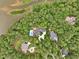 Stunning aerial view of the property and neighborhood featuring mature trees, swimming pool, and landscaping at 5317 Moonflower Ct, Holly Springs, NC 27540