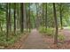 Scenic wooded path surrounded by tall trees and lush greenery, perfect for nature walks and tranquil escapes at 5317 Moonflower Ct, Holly Springs, NC 27540