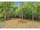 View of a well-maintained backyard with natural landscaping and mature trees at 5504 Earle Road, Raleigh, NC 27606