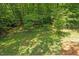 Lush backyard with a chainlink fence and plenty of greenery, offering privacy and space at 5709 Russell Rd, Durham, NC 27712