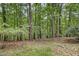 Lawn filled with trees in a secluded backyard at 623 Totten Pl, Chapel Hill, NC 27514