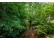 A tranquil view of a community creek surrounded by lush greenery and mature trees at 219 W Columbia Pl, Chapel Hill, NC 27516