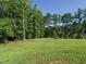Large grassy backyard featuring some woods, blue skies, and a geodesic dome at 221 Stella Way, Cameron, NC 28326