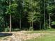 Backyard lot featuring mature trees and an unfinished spot for an outbuilding or parking at 221 Stella Way, Cameron, NC 28326