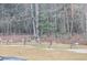 Deer eating in a backyard surrounded by mature trees providing a tranquil, natural setting at 233 Pressly Foushee Rd, Sanford, NC 27330