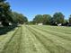 Beautifully maintained green space featuring mature trees and landscaping at 305 Wallington Ct, Mebane, NC 27302