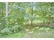 View of backyard with lush, mature trees offering privacy and shade at 5328 Willow Cry Ln, Raleigh, NC 27613