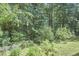 Backyard with mature trees and shrubbery at 5328 Willow Cry Ln, Raleigh, NC 27613