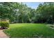 Lush backyard with a well-maintained lawn and mature trees, providing a serene and private outdoor space at 8604 Timberwind Dr, Raleigh, NC 27615