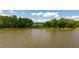 Aerial view capturing the property's waterfront location surrounded by lush trees and scenic views at 9701 Corktree Ct, Wake Forest, NC 27587