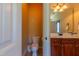 This half-bathroom offers a toilet and vanity with a mirror for convenient use at 9701 Corktree Ct, Wake Forest, NC 27587