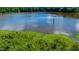 Lush green landscape with serene views of the lake, with tall trees along the bank at 9701 Corktree Ct, Wake Forest, NC 27587