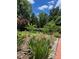 Lush backyard featuring mature landscaping, brick retaining wall, and blue skies at 1320 Shepherd St, Durham, NC 27707