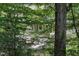 The home's exterior is partially obscured by the surrounding greenery and a large tree at 1320 Shepherd St, Durham, NC 27707