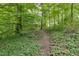 A walking path is surrounded by greenery, leading to what seems to be an outdoor seating area at 1320 Shepherd St, Durham, NC 27707