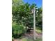 Backyard scene features a birdhouse, tree, and lush ground cover, all contributing to the property's appeal at 1320 Shepherd St, Durham, NC 27707