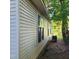 House's side exterior featuring windows and siding, set in a yard with mature trees and foliage at 1512 E Lane St, Raleigh, NC 27610