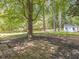 Large backyard with mature trees and a shed at 2300 Radius Cir, Sanford, NC 27330